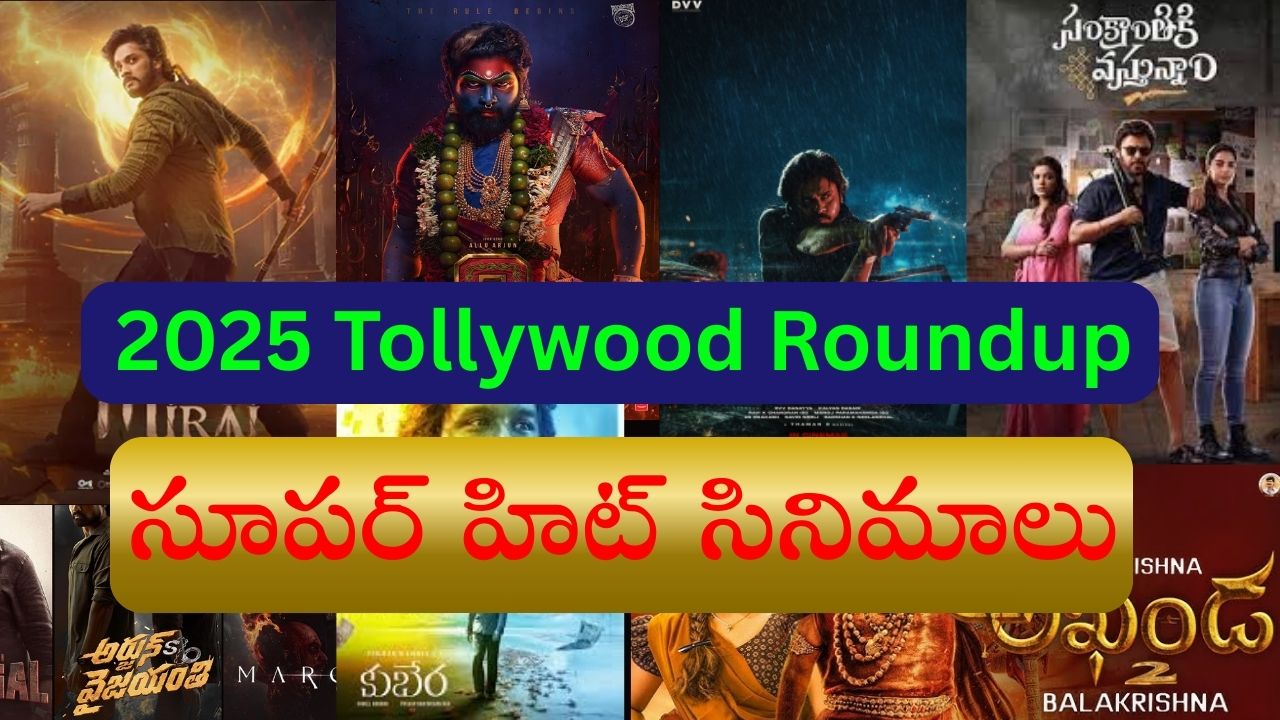 2025 Tollywood Roundup: బాక్సాఫీస్‌ను షేక్ చేసిన సూపర్ హిట్ సినిమాలు ఇవే!
