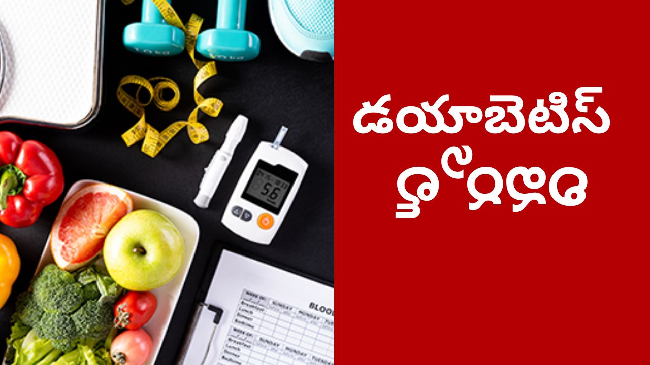Reverse Diabetes: డయాబెటిస్‌ను రివర్స్ చేయడం సాధ్యమేనా? శాశ్వతంగా నయం చేయగలమా?