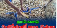 AP Aqua in trouble after trump tarrif 50 %