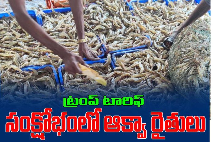 AP Aqua in trouble after trump tarrif 50 %