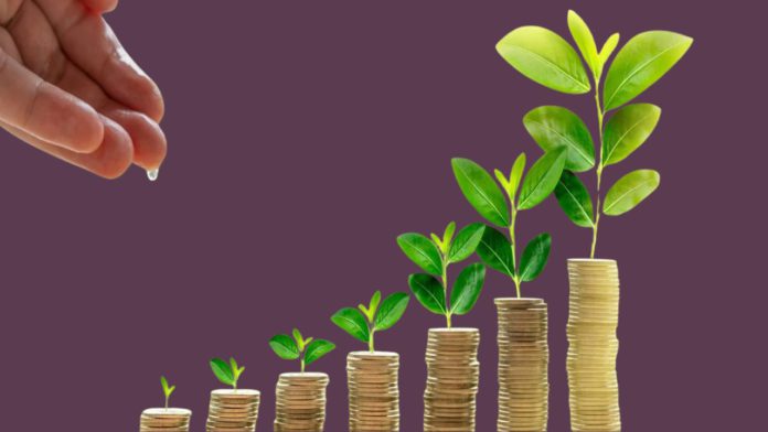 Government keeps interest rates unchanged for January–March quarter