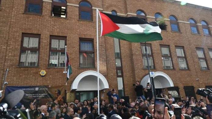 palastena embosy open in london