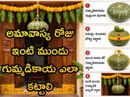 gummadikaya amavasya